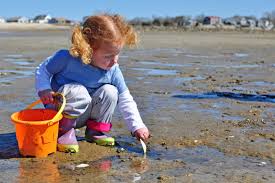 Where To Go Beachcombing On Buzzards Bay And 14 Objects To