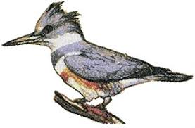 Kingfisher mark ii is up on etsy at the mo, and the first version is up in the gallery. Advanced Embroidery Designs Belted Kingfisher
