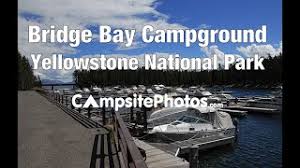 Check spelling or type a new query. Bridge Bay Campground Yellowstone National Park Wyoming Youtube