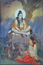 Shiva Parvati Images Hd Shiva Shambo Shiva Parvati Images Shiva