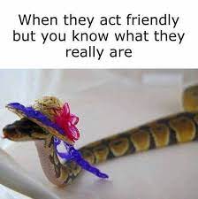 Pin By Jennifer Russell On Mattness Snake Quotes Fake Friend Quotes Sarcastic