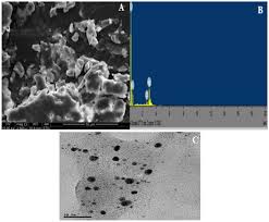 Image result for Cullen tomentosum