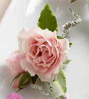 Maybe you would like to learn more about one of these? Albright S Inc Corsages Boutonnieres Columbus Ga 31907 Ftd Florist Flower And Gift Delivery