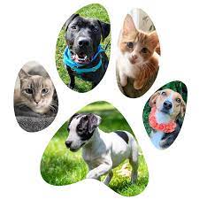 Maybe you would like to learn more about one of these? Home Pet Tales Rescue