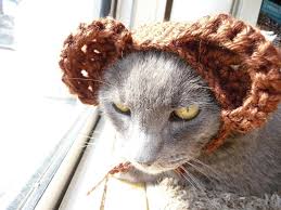 All cat lovers especially ladies pay attention! Crochet Hats For Cats 7 Crochet Patterns For Cat Hats