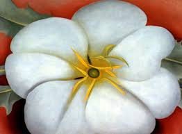 She has been recognised at the mother of american modernism. Abstract Warm Cool Color Flowers Inspired By Georgia O Keeffe