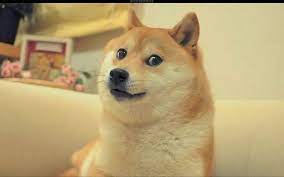 Wallpaper Doge El Rubius Omg By Cltutoriales D6ufar0 Png 1131 707 Bichinhos Fofos