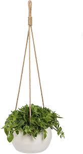 Mini wooden plant hanger kit / small hanging planter / lightweight indoor planter / trailing plant/ hanging plant / house plant. Ceramic Hanging Planter Small Hanging Planter In Turquoise Other Colors Available In Hanging Planters Section Home Living Planters Pots Kromasol Com