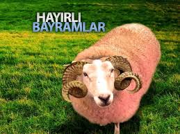 Kurban Bayrami Kutlu Olsun Tebrik Kartlari Kartlar Yunus Olinda