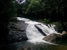 Lata ini mempunyai kolam mandi semulajadi yang luas dan air terjun yang cantik. Hutan Lipur Bukit Hijau Tourist Attraction In Bedong Malaysia Top Rated Online