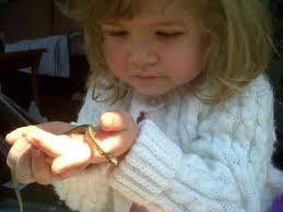 What type of snake is in the first picture?