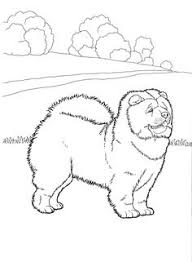 Learn about endangered animals and their babies or prepare for a farm field trip with free animal coloring pages. 330 Coloring Pages Animals Ideas Coloring Pages Coloring Books Colouring Pages