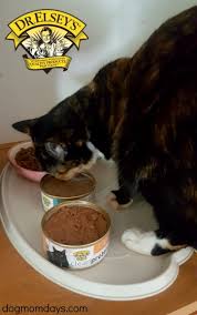Bruce elsey has been a feline only veterinarian for over 40 years and his practice cares for ove. Dr Elsey S Cleanprotein Cat Food Review Dog Mom Days