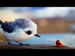 Watch A Bird Overcome Fear In Pixar S Heart Melting New Short Film Piper Youtube Short Movies Short Film Youtube Short Movie