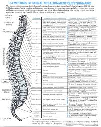 chiropractic adjustment monterey bay holistic alliance