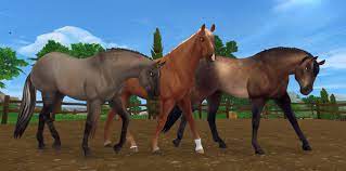 A Quartet Of Quarters Star Stable