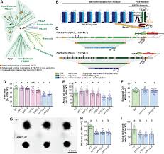 Check spelling or type a new query. Regulation Of Vacuole Morphology By Piezo Channels In Spreading Earth Moss Biorxiv