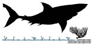 Reel Talk: 'The Meg Two: The Trench' - Flat Hat News