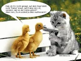 Please keep in mind, that these devices are not certified. Lustige Tierbilder