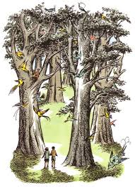 Some Original Artwork From The Narnia Books Narnia Chronicles Of Narnia Artwork