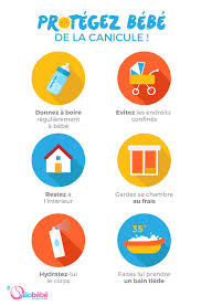 Comment protéger son chat de la canicule ? Comment Eviter Que Bebe Souffre De La Canicule