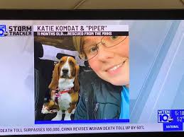 Are there any Guilderland dog walkers?