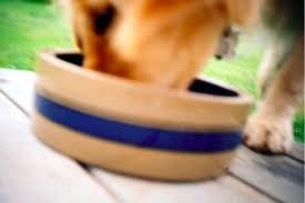 F D A Names 16 Brands Of Dog Food That May Be Linked To Canine Dog Food Recipes Heart Disease South Florida