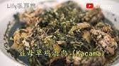 Ayam mangon merupakan hasil penyempurnaan keturunan berdasarkan dua jenis unggas laga. Ka Chang Ma Youtube