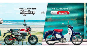 The honda super cub c125 has a seating height of 780 mm and kerb weight of 107 kg. 2019 Honda Super Cub C125 Vs 2019 Honda Monkey Youtube