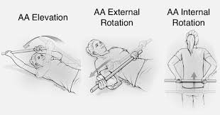 Image result for Shoulder Range of Motion Exercises