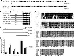 Beautiful fresh flowers from target make great gifts. The Crosstalk Between Target Of Rapamycin Tor And Jasmonic Acid Ja Signaling Existing In Arabidopsis And Cotton Scientific Reports