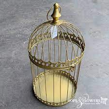 Maybe you would like to learn more about one of these? Gold Birdcage Essentially Hops
