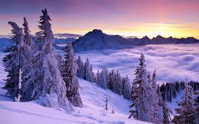 Enjoy and share your favorite beautiful hd wallpapers and background images. Purple Winter Sunset Hd Wallpaper Nature And Landscape Wallpaper Better
