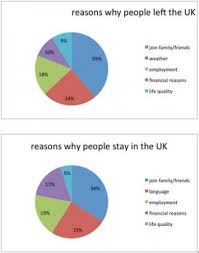 Pie Chart The Reasons For Leaving Or Staying In The Uk