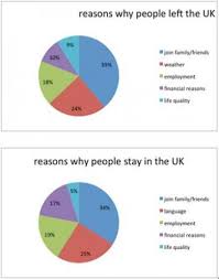 pie chart the reasons for leaving or staying in the uk