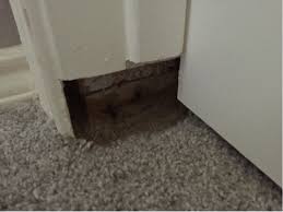 To fix an interior door frame. Fixing Part Of Interior Door Jamb Frame Home Improvement Stack Exchange