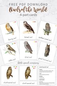 Free Pdf Download Owls Of The World 4 Part Card Set Owl Preschool Montessori Activities Owls Kindergarten