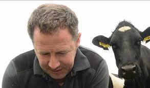 How beetles help battle AMR 12