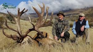 This means that you can come and hunt at poronui and secure a very unique red stag trophy. Monster Buck Red Deer Hunting New Zealand Der Lebenshirsch Youtube