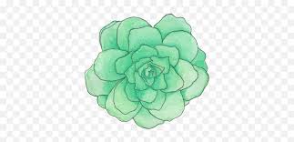 We did not find results for: Mint Green Flower Png 3 Image Pastel Green Aesthetic Transparent Green Flower Png Free Transparent Png Images Pngaaa Com