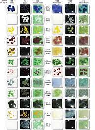 Spectrum Glaze Crystals On Sale At Clay King Com Spectrum Glazes Glazes For Pottery Ceramics Ideas Pottery