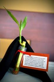 Diy Wedding Challenge Lucky Bamboo Favors Lucky Bamboo Bamboo Gifts Project Wedding