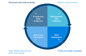 aca risk adjustment management cracking the code milliman