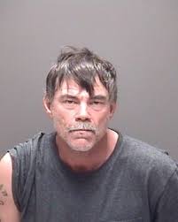 Name WHEELER, NATALIE LARKIN Sex FEMALE Race WHITE Booking Date 2/2/2021  Release Date Total Bond Amount $6,000.00 Chrages