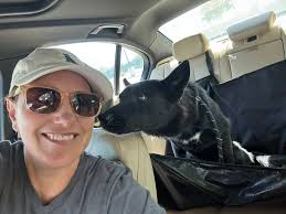 Introduction to Gertie's Small Dog Rescue, Inc. and its activities