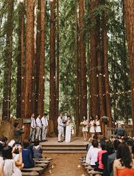 Sweet Ymca Camp Wedding Annie Matt Forest Wedding Venue Redwood Forest Wedding Camp Wedding