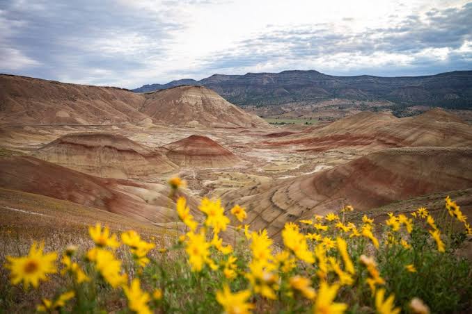 Oregon's Painted Hills: How to visit this colorful wonder! - Adventures of A +K