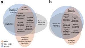 The differential metabolic signature of breast cancer cellular response to  olaparib treatment