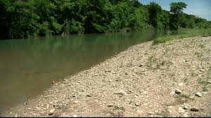 We did not find results for: Alligator Spotted Along Guadalupe River In Comal County Keye