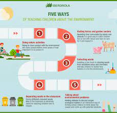 Office of overseas programming and training support (opats). Environmental Education For Kids Definition Objectives And Characteristics Iberdrola